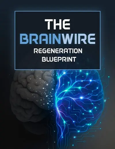 audifort-bonus-the-brainwire